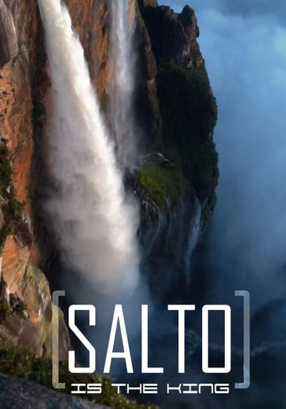Salto Is the King