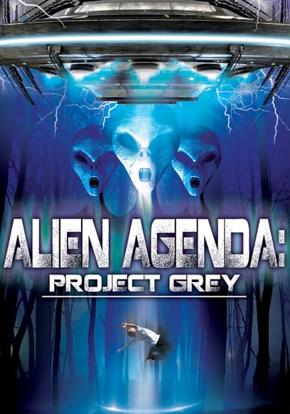Alien Agenda Project Grey