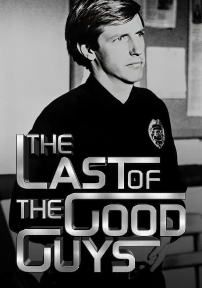 Watch The Last of the Good Guys (1978) Free Movies Tubi