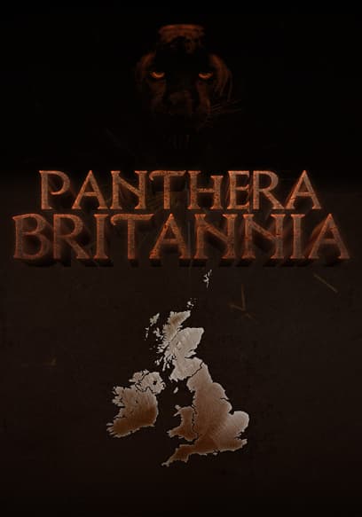 Panthera Britannia