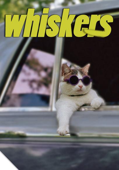 Whiskers