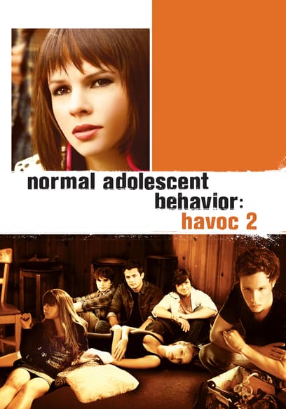 Normal Adolescent Behavior: Havoc 2