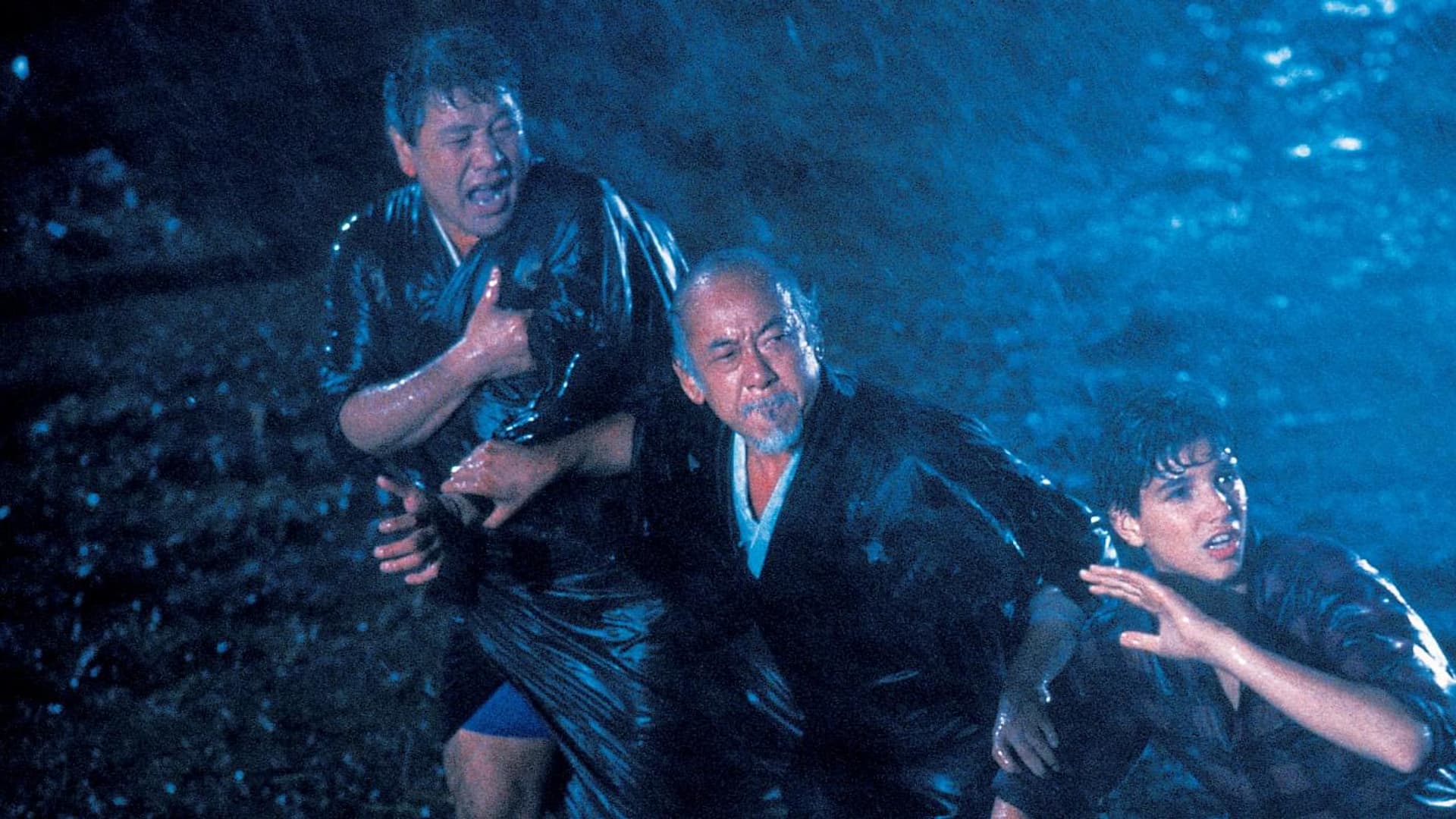 Watch The Karate Kid: Part II (1986) - Free Movies | Tubi