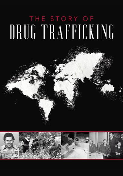 The Story of Drug Trafficking