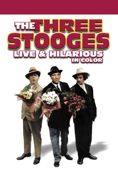 The Three Stooges: Live & Hilarious (In Color)