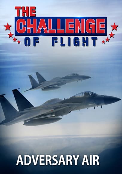 The Challenge of Flight: Adversary Air