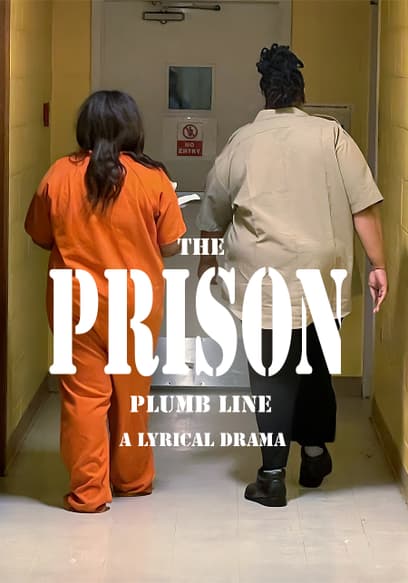 Prison Plumb Line