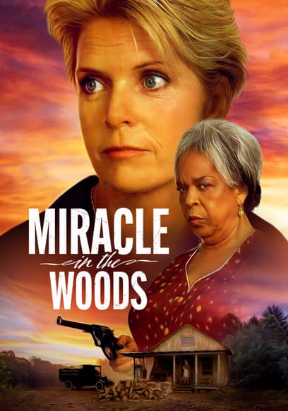 Miracle in the Woods