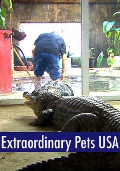 Extraordinary Pets USA