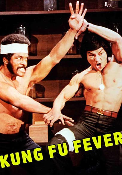 Kung Fu Fever