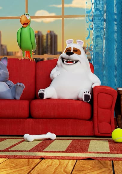 Watch Pets S01:E08 - Episode 8 - Free TV Shows | Tubi