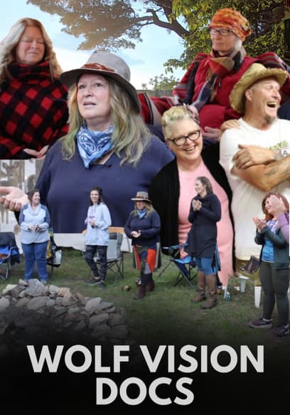 Wolf Vision Docs