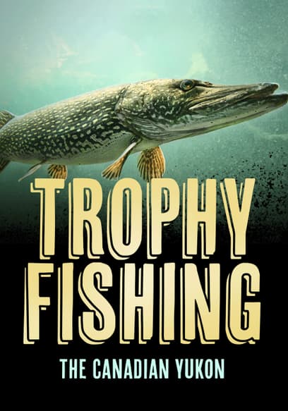 Trophy Fishing in the Canadian Yukon