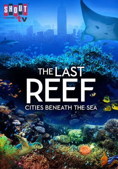 The Last Reef: Cities Beneath the Sea