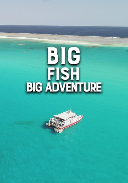 Big Fish Big Adventure