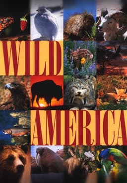 Watch Wild America Free TV Shows Tubi