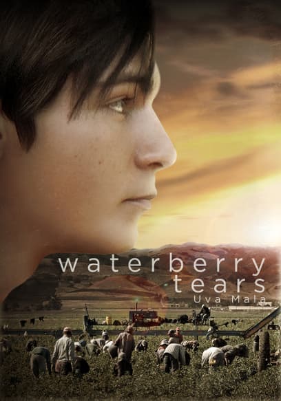 Waterberry Tears (Uva Mala)