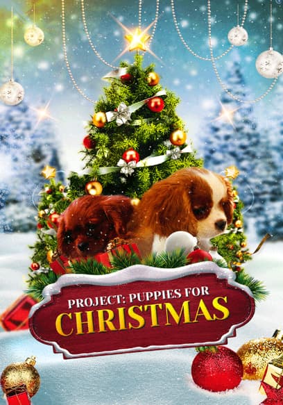 Project: Puppies for Christmas