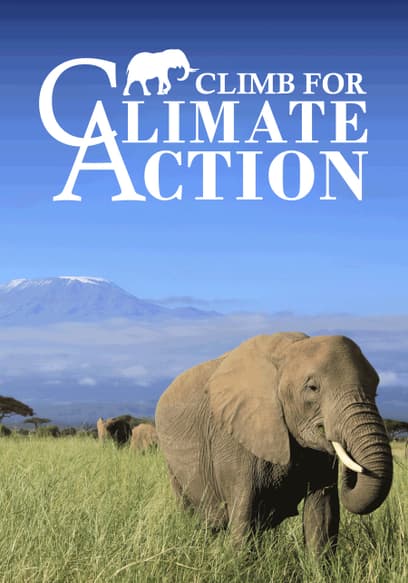 Climb for Climate Action