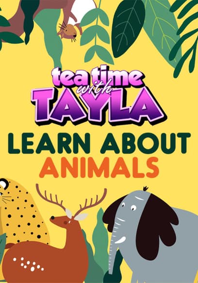 Tea Time With Tayla: Learn About Animals