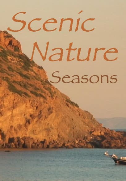 S01:E01 - Scenic Nature: Autumn