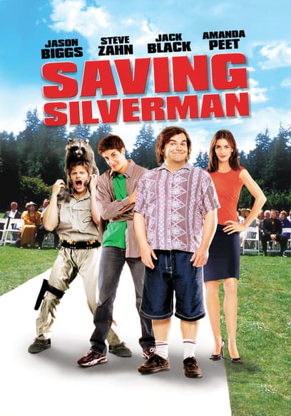 Saving Silverman