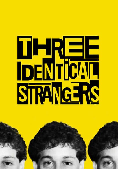 Three Identical Strangers