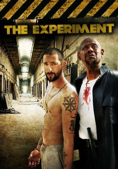 The Experiment (Español)