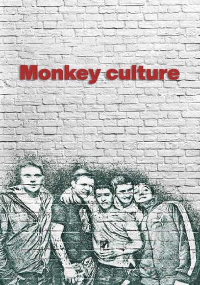 Monkey Culture