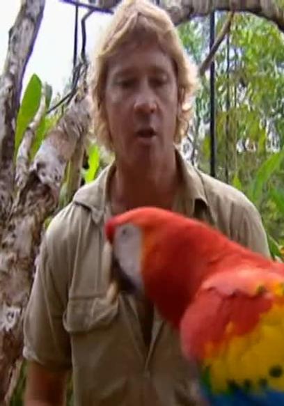 Watch The Crocodile Hunter S05:E08 - River Of The Da - Free TV Shows | Tubi