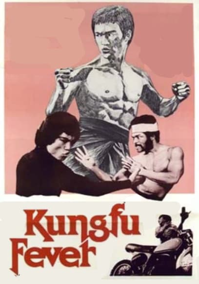 Kung Fu Fever