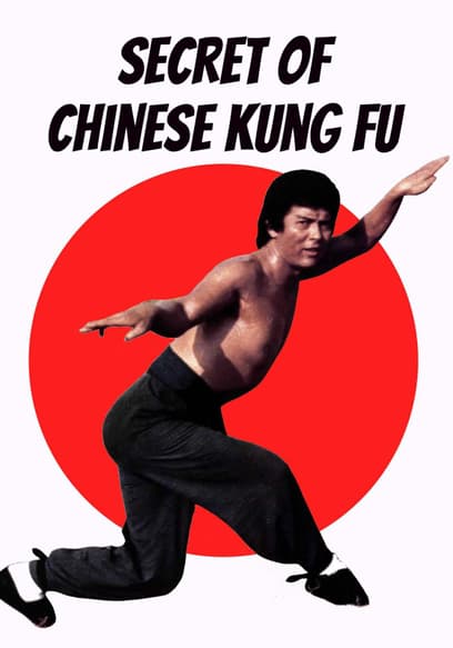 Secret of Chinese Kung Fu