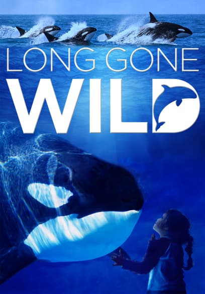 Long Gone Wild
