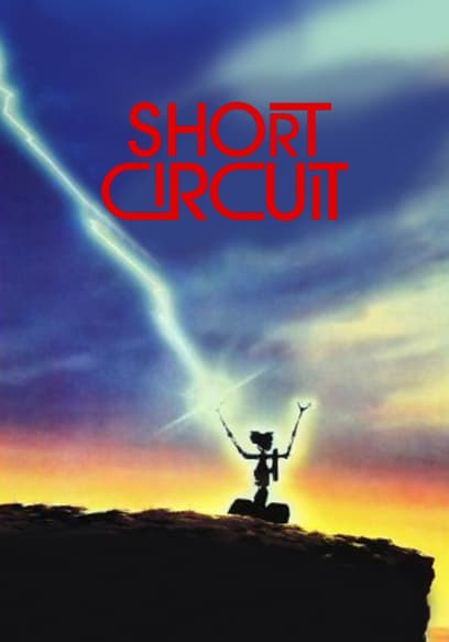 Short Circuit