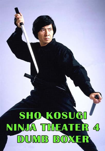 Sho Kosugi Ninja Theatre Vol. 4: Dumb Boxer