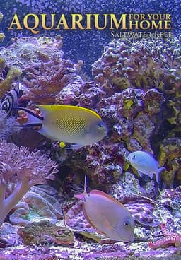 Aquarium For Your Home Presents: Saltwater Reef DVD #9