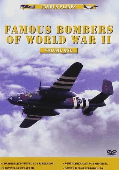 Famous Bombers of WWII
