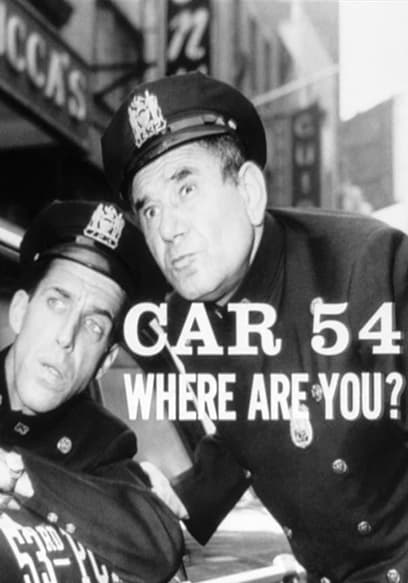 Car 54, Where Are You?