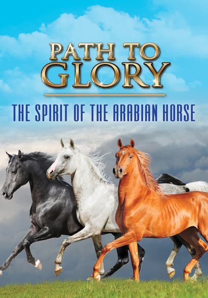 Path to Glory: The Spirit of the Arabian Horse