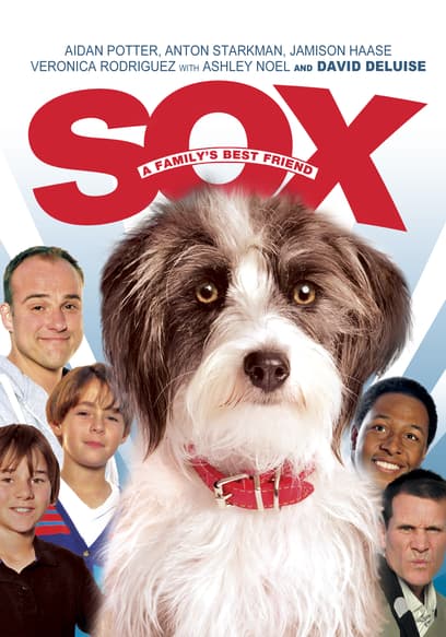 Sox: A Family's Best Friend