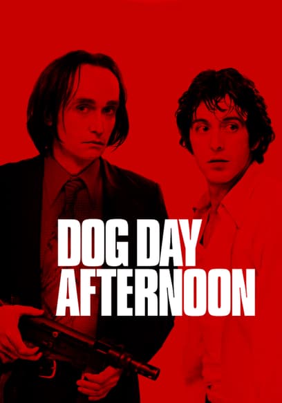 Dog Day Afternoon