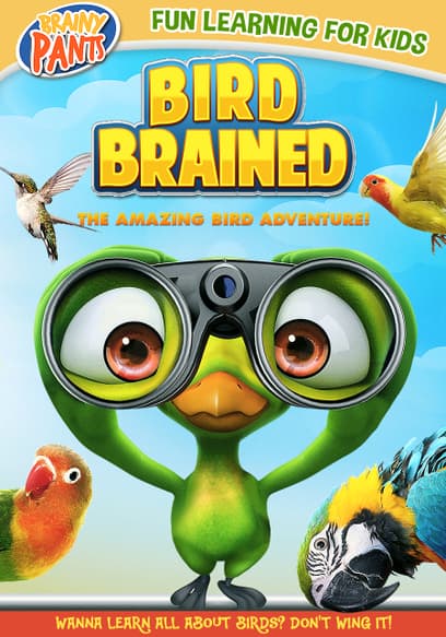 Bird Brained