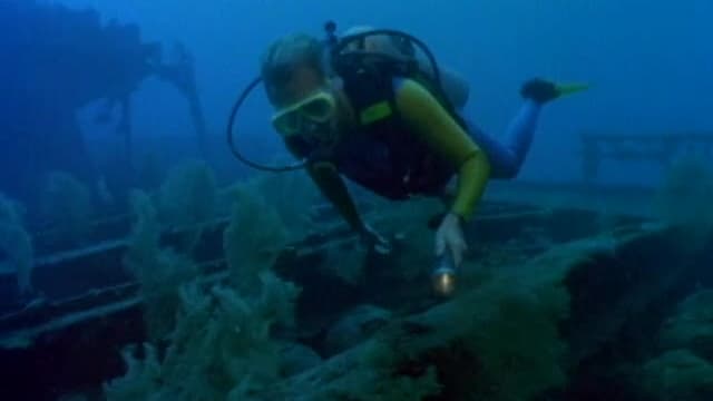 Dive Deep Uncovering The Mysteries Still Lurking At The Old Bath House San Francisco - hay8aee