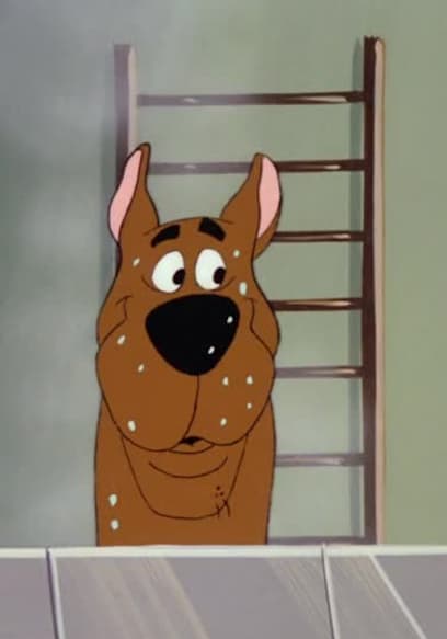 Watch Scooby-Doo and Scrappy-Doo S03:E03 - Scooby-Dooby Goo/Ricksaw ...