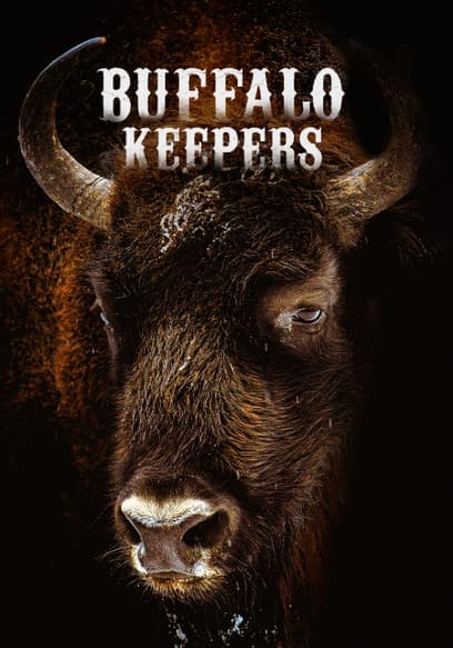 S01:E01 - Buffalo Keepers