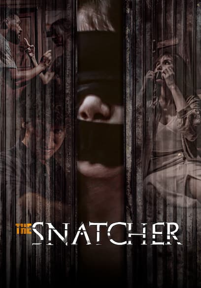 snatcher        
        <figure class=