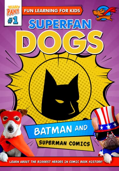 Superfan Dogs: Batman and Superman Comics