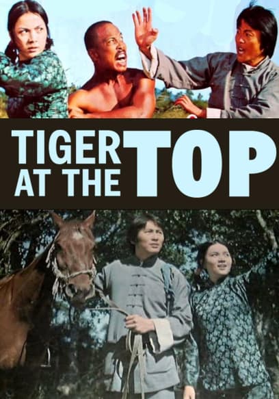 Tigers at the Top