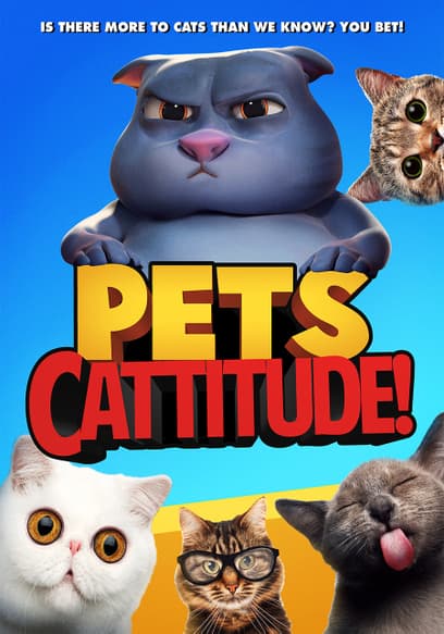 Pets: Cattitude