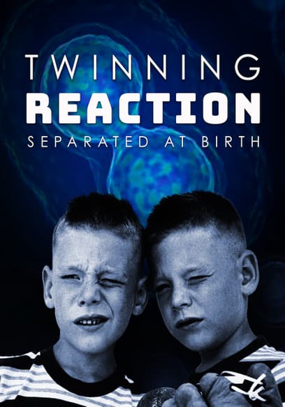 The Twinning Reaction